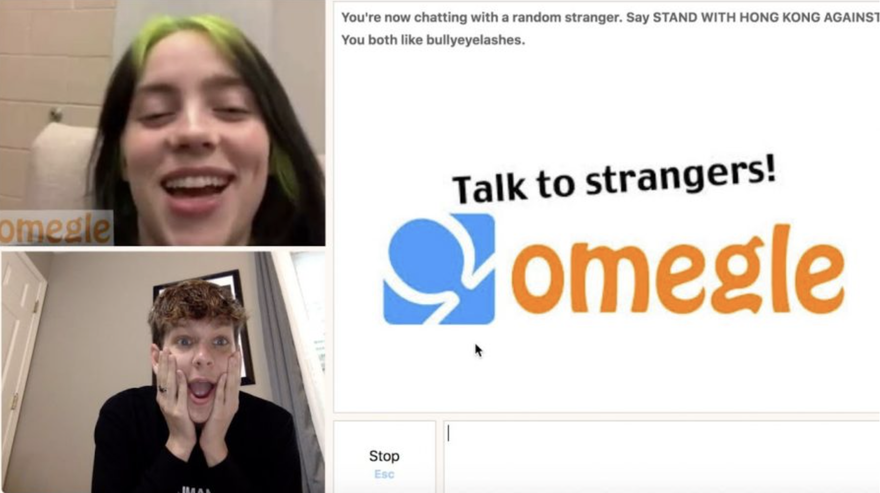 Omegle preview